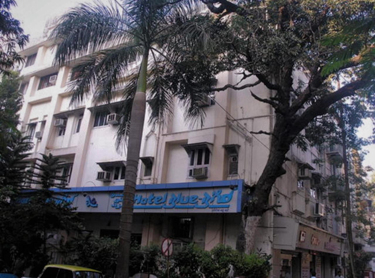 Hotel Blue Bird Colaba Mandve Eksteriør billede